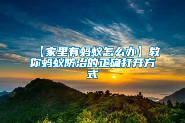 【家里有螞蟻怎么辦】教你螞蟻防治的正確打開(kāi)方式