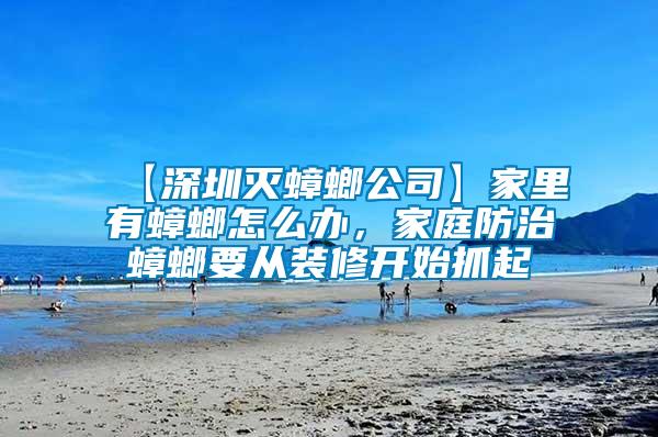 【深圳滅蟑螂公司】家里有蟑螂怎么辦，家庭防治蟑螂要從裝修開始抓起