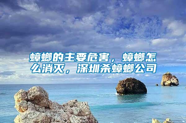 蟑螂的主要危害，蟑螂怎么消滅，深圳殺蟑螂公司