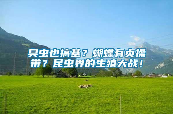 臭蟲也搞基？蝴蝶有貞操帶？昆蟲界的生殖大戰(zhàn)！