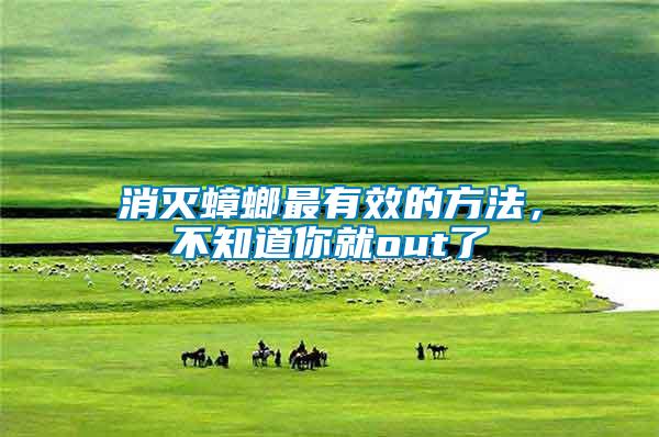 消滅蟑螂最有效的方法，不知道你就out了