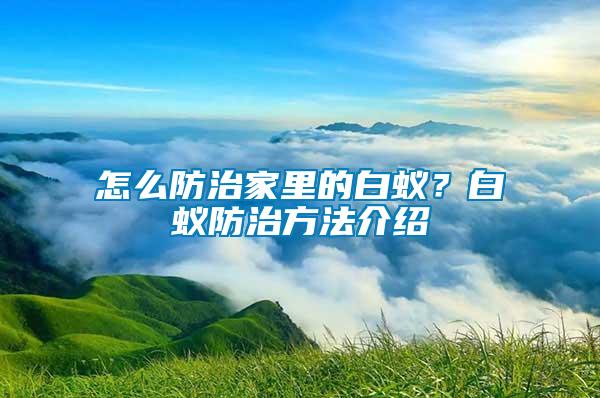怎么防治家里的白蟻?白蟻防治方法介紹
