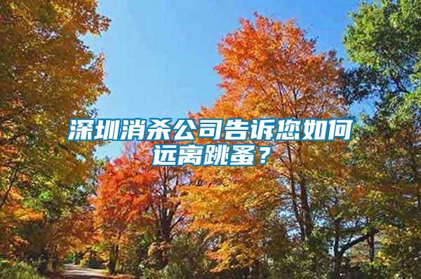 深圳消殺公司告訴您如何遠離跳蚤?