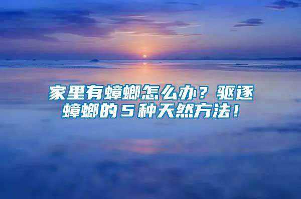 家里有蟑螂怎么辦？驅(qū)逐蟑螂的５種天然方法！