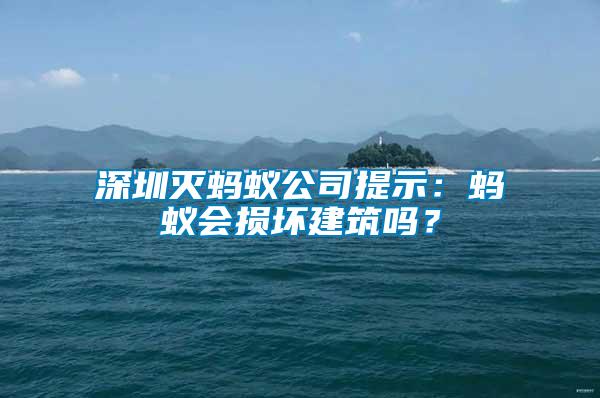 深圳滅螞蟻公司提示：螞蟻會損壞建筑嗎？