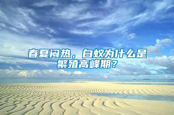 春夏悶熱，白蟻為什么是繁殖高峰期？