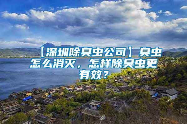 【深圳除臭蟲公司】臭蟲怎么消滅，怎樣除臭蟲更有效？
