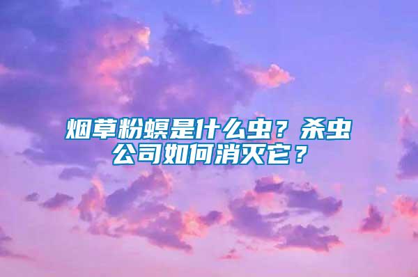 煙草粉螟是什么蟲？殺蟲公司如何消滅它？