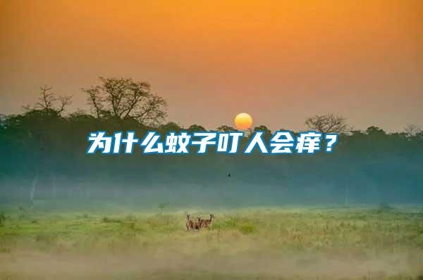 為什么蚊子叮人會癢？