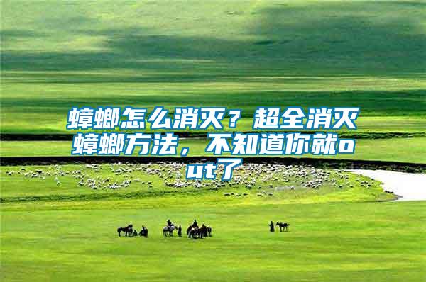 蟑螂怎么消滅？超全消滅蟑螂方法，不知道你就out了