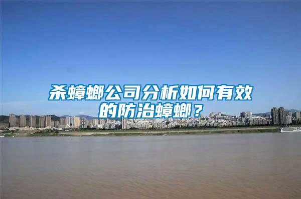 殺蟑螂公司分析如何有效的防治蟑螂？