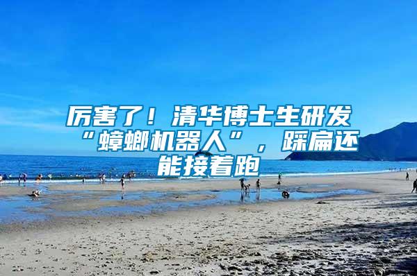 厲害了！清華博士生研發(fā)“蟑螂機(jī)器人”，踩扁還能接著跑
