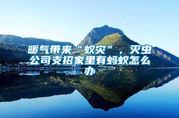 暖氣帶來“蟻災(zāi)”，滅蟲公司支招家里有螞蟻怎么辦