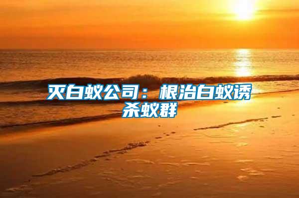 滅白蟻公司:根治白蟻誘殺蟻群