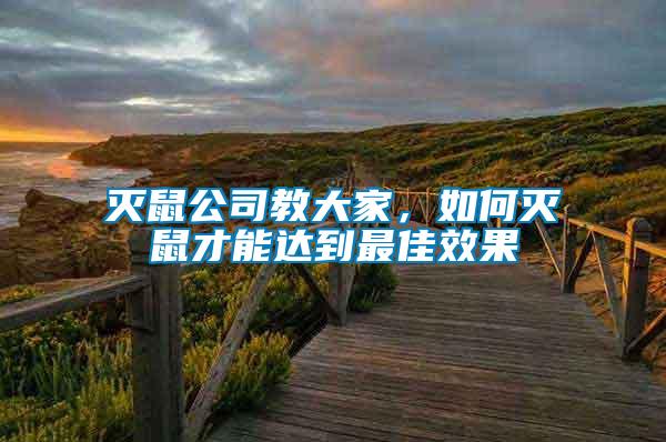 滅鼠公司教大家，如何滅鼠才能達到最佳效果