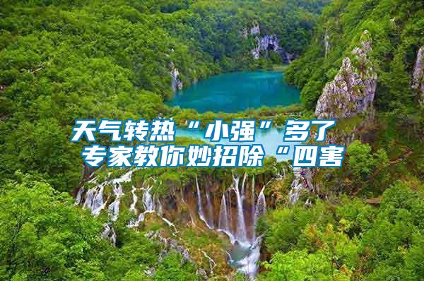 天氣轉(zhuǎn)熱“小強”多了 專家教你妙招除“四害