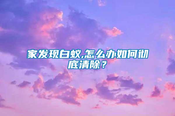 家發(fā)現(xiàn)白蟻,怎么辦如何徹底清除？