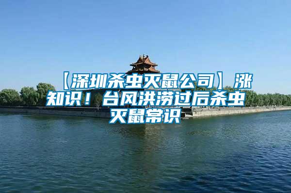 【深圳殺蟲滅鼠公司】漲知識！臺風(fēng)洪澇過后殺蟲滅鼠常識