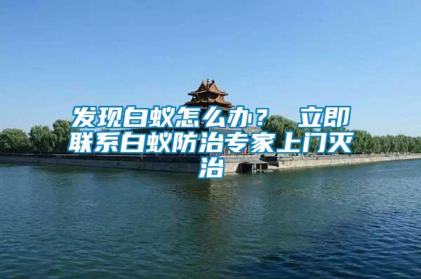 發(fā)現(xiàn)白蟻怎么辦？ 立即聯(lián)系白蟻防治專家上門滅治