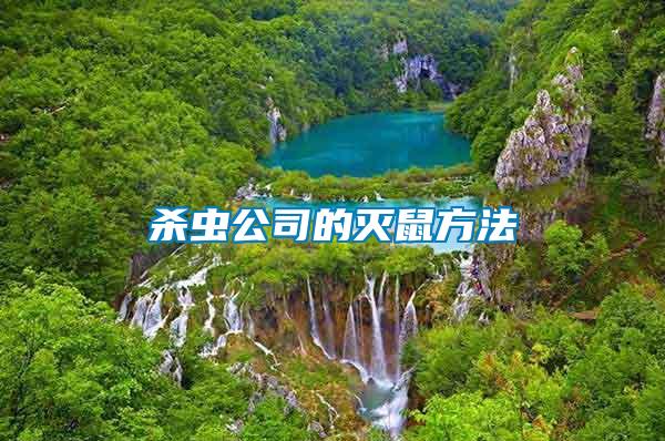 殺蟲(chóng)公司的滅鼠方法