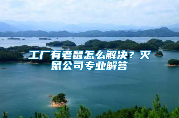 工廠有老鼠怎么解決？滅鼠公司專(zhuān)業(yè)解答