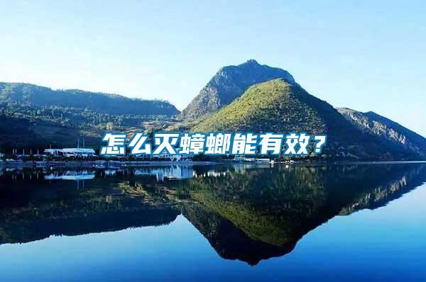 怎么滅蟑螂能有效？