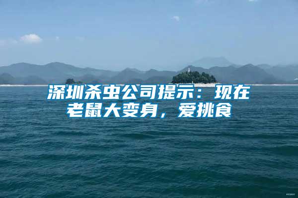 深圳殺蟲公司提示：現(xiàn)在老鼠大變身，愛挑食