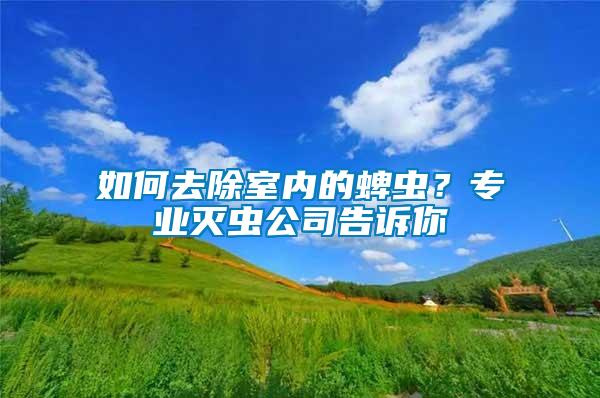 如何去除室內(nèi)的蜱蟲？專業(yè)滅蟲公司告訴你