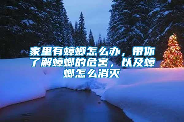 家里有蟑螂怎么辦，帶你了解蟑螂的危害，以及蟑螂怎么消滅