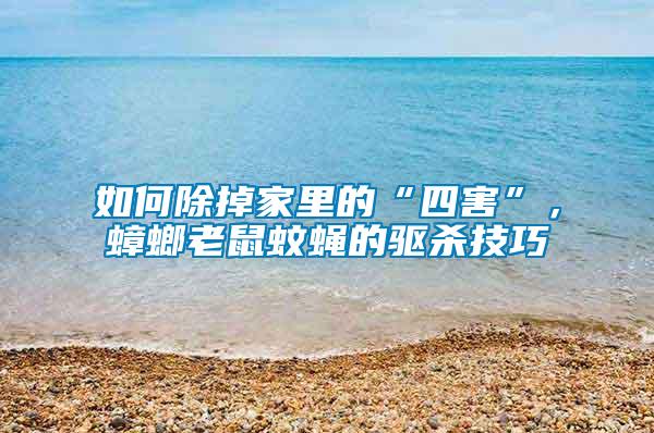如何除掉家里的“四害”，蟑螂老鼠蚊蠅的驅殺技巧