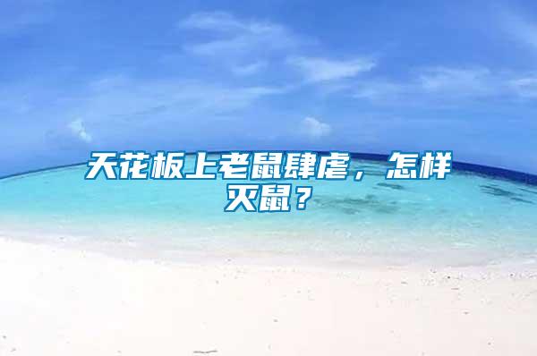 天花板上老鼠肆虐，怎樣滅鼠？