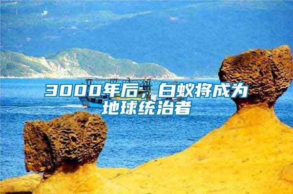 3000年后，白蟻將成為地球統(tǒng)治者