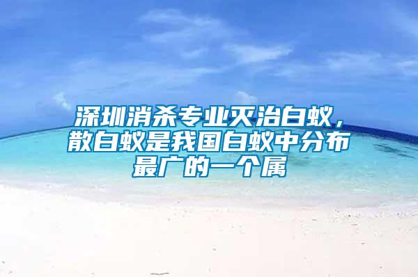 深圳消殺專業(yè)滅治白蟻，散白蟻是我國(guó)白蟻中分布最廣的一個(gè)屬
