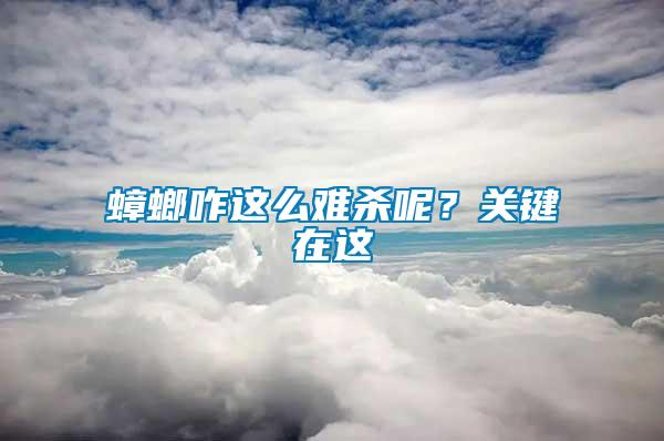 蟑螂咋這么難殺呢？關(guān)鍵在這