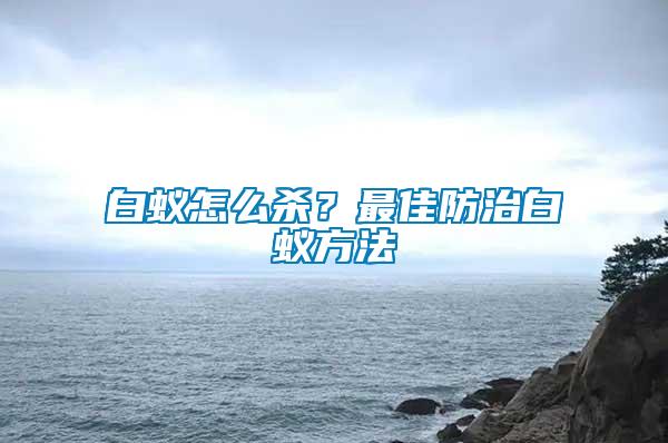 白蟻怎么殺？最佳防治白蟻方法