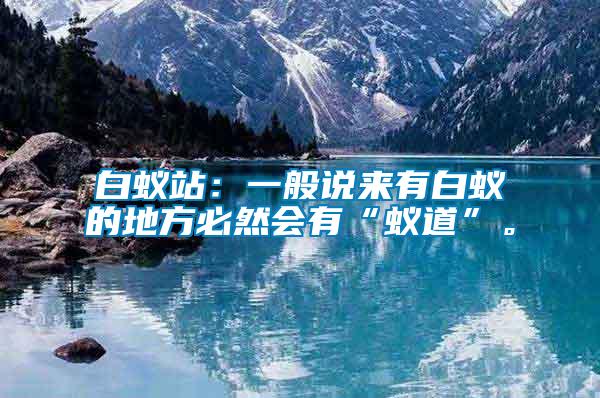 白蟻站：一般說來有白蟻的地方必然會有“蟻道”。