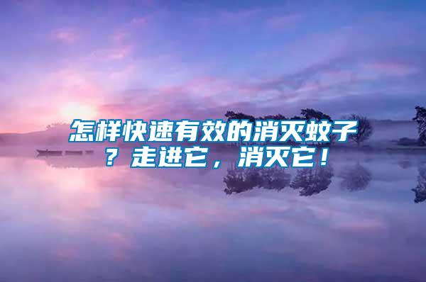 怎樣快速有效的消滅蚊子？走進(jìn)它，消滅它！