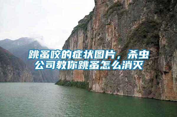 跳蚤咬的癥狀圖片，殺蟲公司教你跳蚤怎么消滅