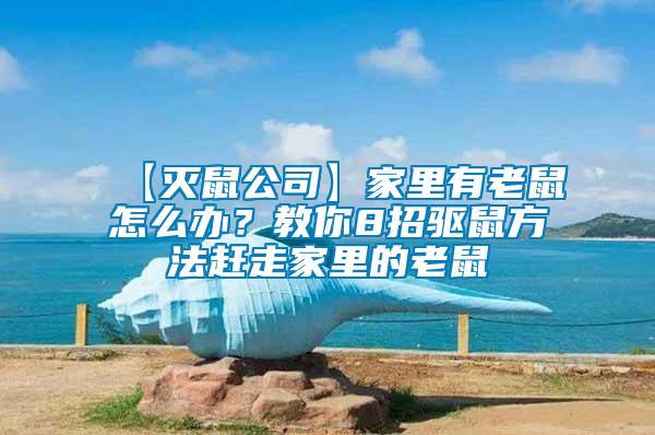 【滅鼠公司】家里有老鼠怎么辦？教你8招驅鼠方法趕走家里的老鼠