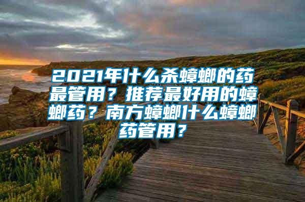 2021年什么殺蟑螂的藥最管用？推薦最好用的蟑螂藥？南方蟑螂什么蟑螂藥管用？