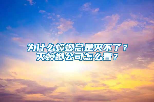 為什么蟑螂總是滅不了？滅蟑螂公司怎么看？