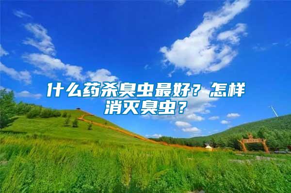 什么藥殺臭蟲最好？怎樣消滅臭蟲？
