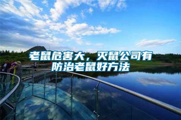 老鼠危害大，滅鼠公司有防治老鼠好方法