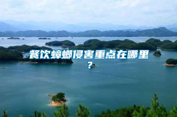 餐飲蟑螂侵害重點(diǎn)在哪里？