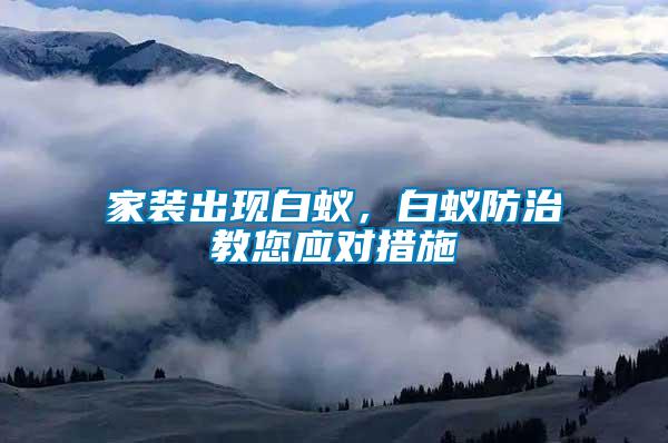 家裝出現(xiàn)白蟻,白蟻防治教您應(yīng)對(duì)措施