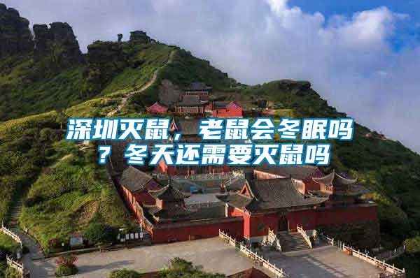 深圳滅鼠，老鼠會(huì)冬眠嗎？冬天還需要滅鼠嗎