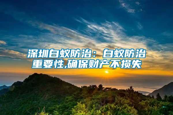 深圳白蟻防治：白蟻防治重要性,確保財產(chǎn)不損失