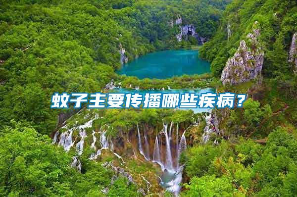 蚊子主要傳播哪些疾?。?/></p>
             <p style=