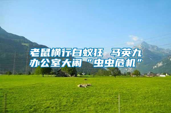 老鼠橫行白蟻狂 馬英九辦公室大鬧“蟲蟲危機(jī)”