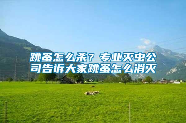 跳蚤怎么殺？專業(yè)滅蟲公司告訴大家跳蚤怎么消滅